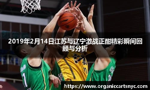 2019年2月14日江苏与辽宁激战正酣精彩瞬间回顾与分析